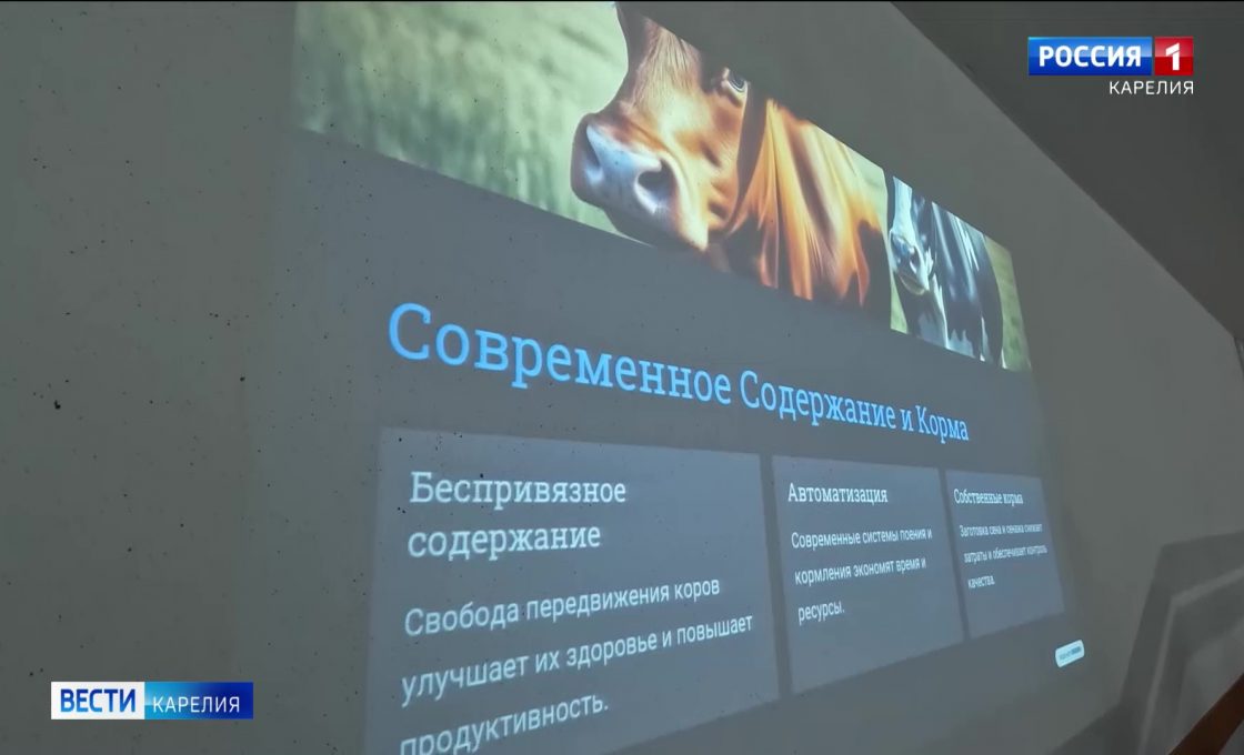 Первые клубничные плантации появятся в Муезерском районе