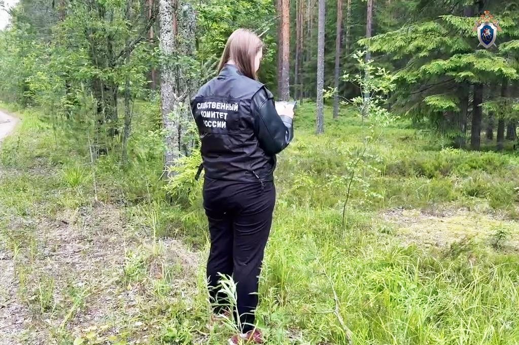 В Олонецком районе обнаружено тело пропавшего пенсионера