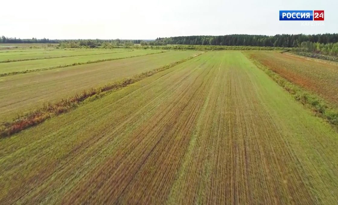 «За городом». 12.11.2025