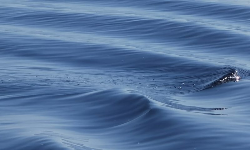 Житель Пряжинского района наловил рыбы на 140 тысяч рублей