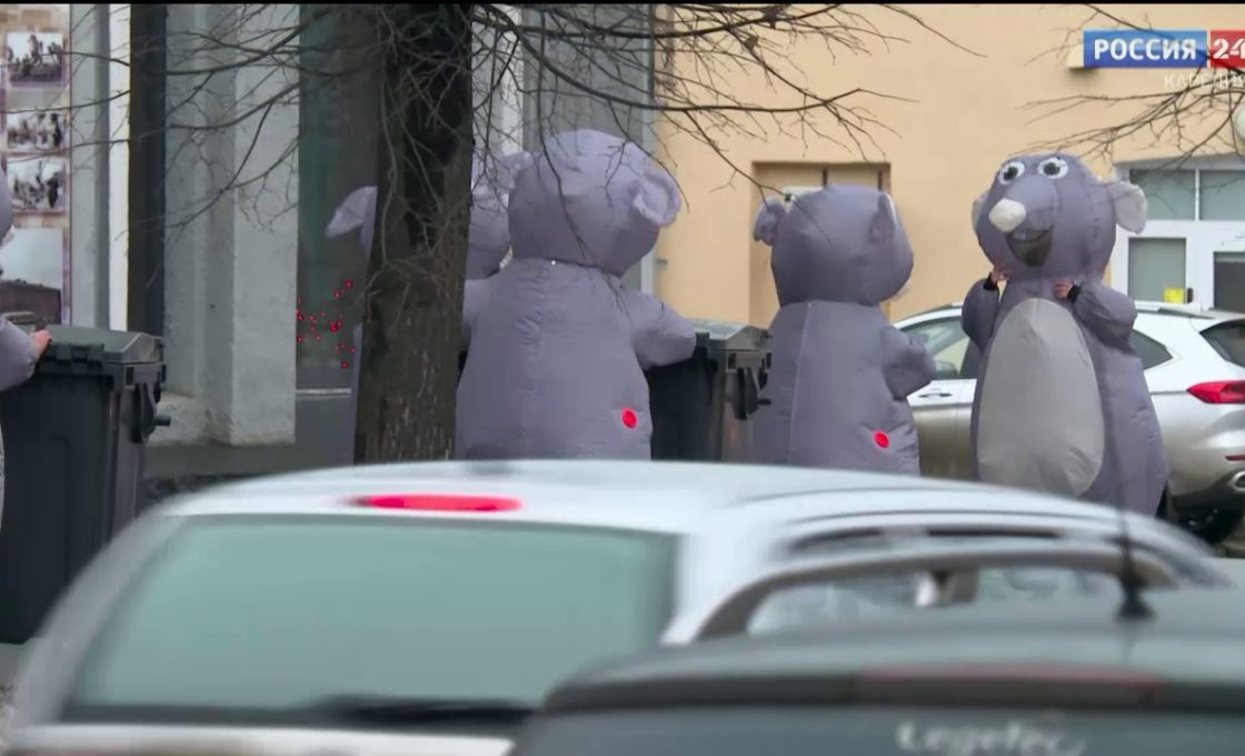 В Петрозаводске стартовала кампания по дератизации