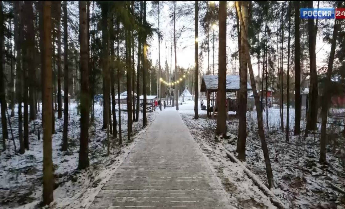 «Движение вверх». 16.12.2025