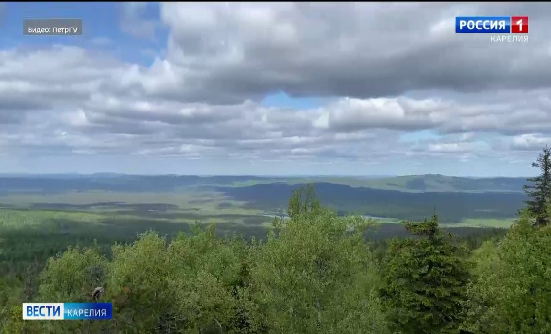 Студенты ПетрГУ рассказали об открытиях молодых ученых
