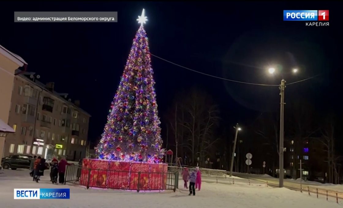 В центре Беломорска установили новую елку