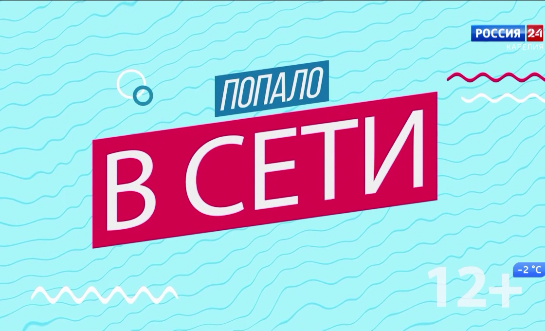 «Попало в сети». 08.11.25