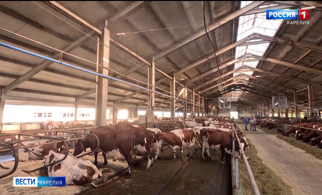 Минсельхоз Карелии. Итоги 2025 года