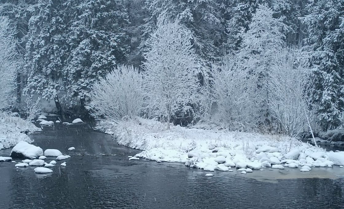 Карельские синоптики рассказали о погоде на эту неделю