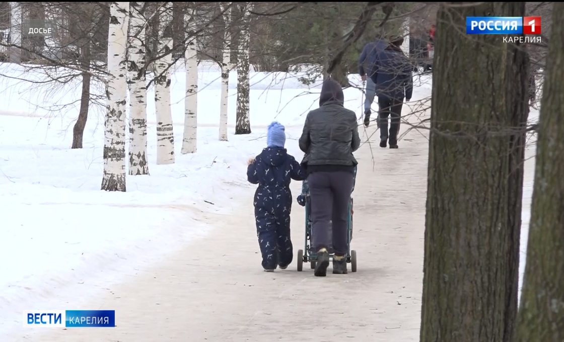 В этом году в Карелии восстановлено более 21 тысячи гектаров леса