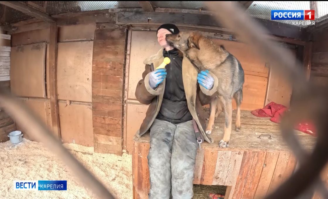 Первый петрозаводский приют организовал акцию «Счастливый хвост»