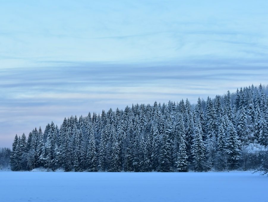 В Карелии спасли пятерых туристов из Санкт-Петербурга