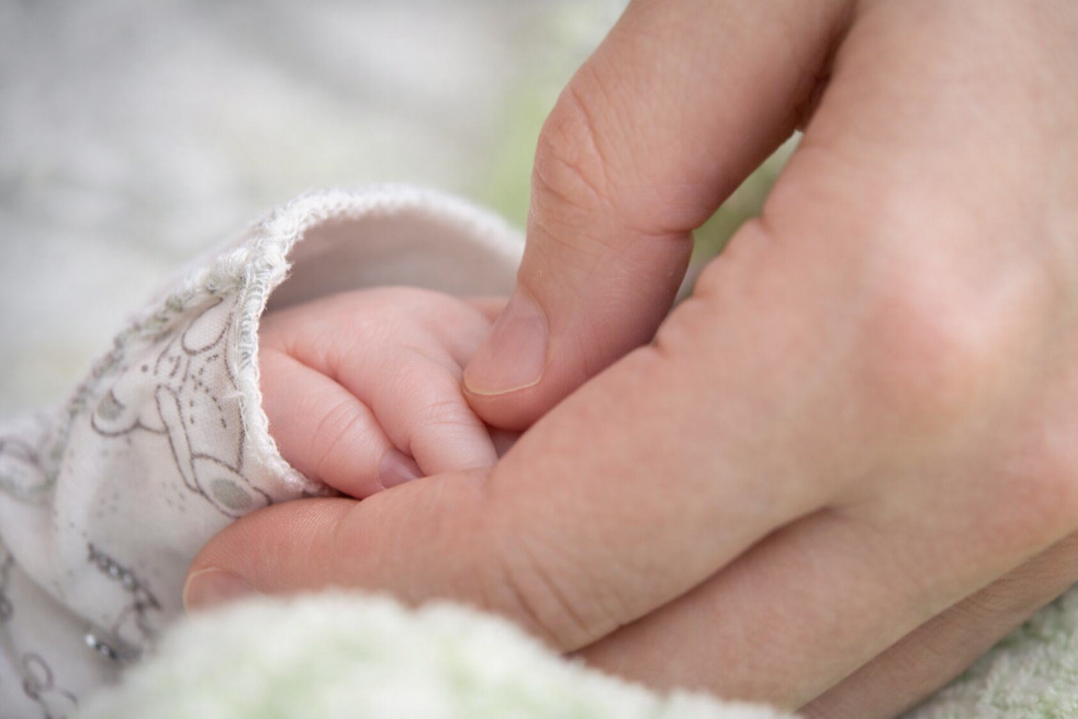 Фото: ГТРК "Карелия"