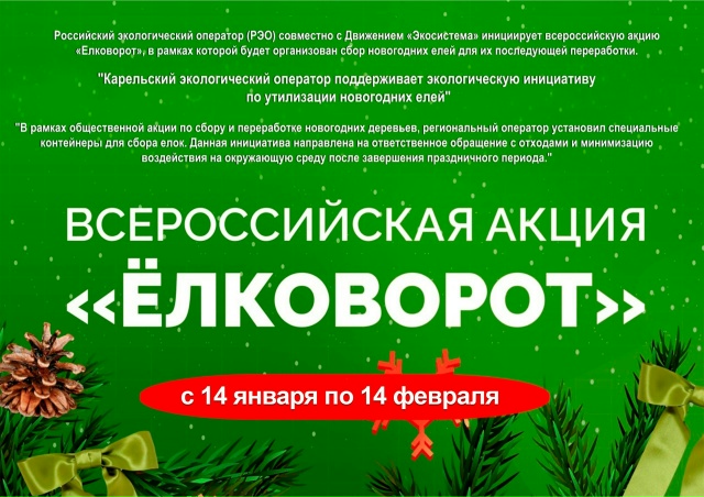 Жителям Карелии рассказали, как правильно утилизировать живые новогодние ели
