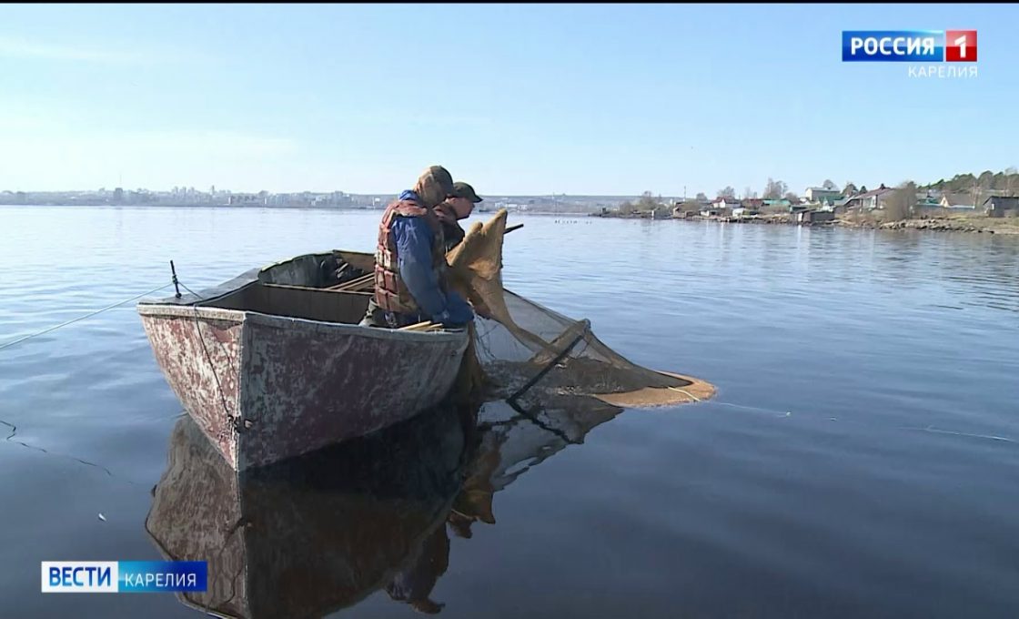Контроль за восстановлением ценных пород рыбы укрепят