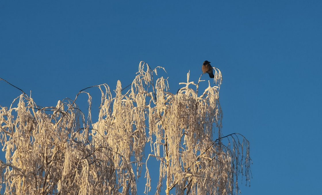Прогноз погоды по Карелии на 2 января