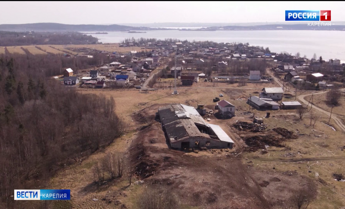 Специалисты обследовали ферму в Заозерье, где были обнаружены трупы домашних животных
