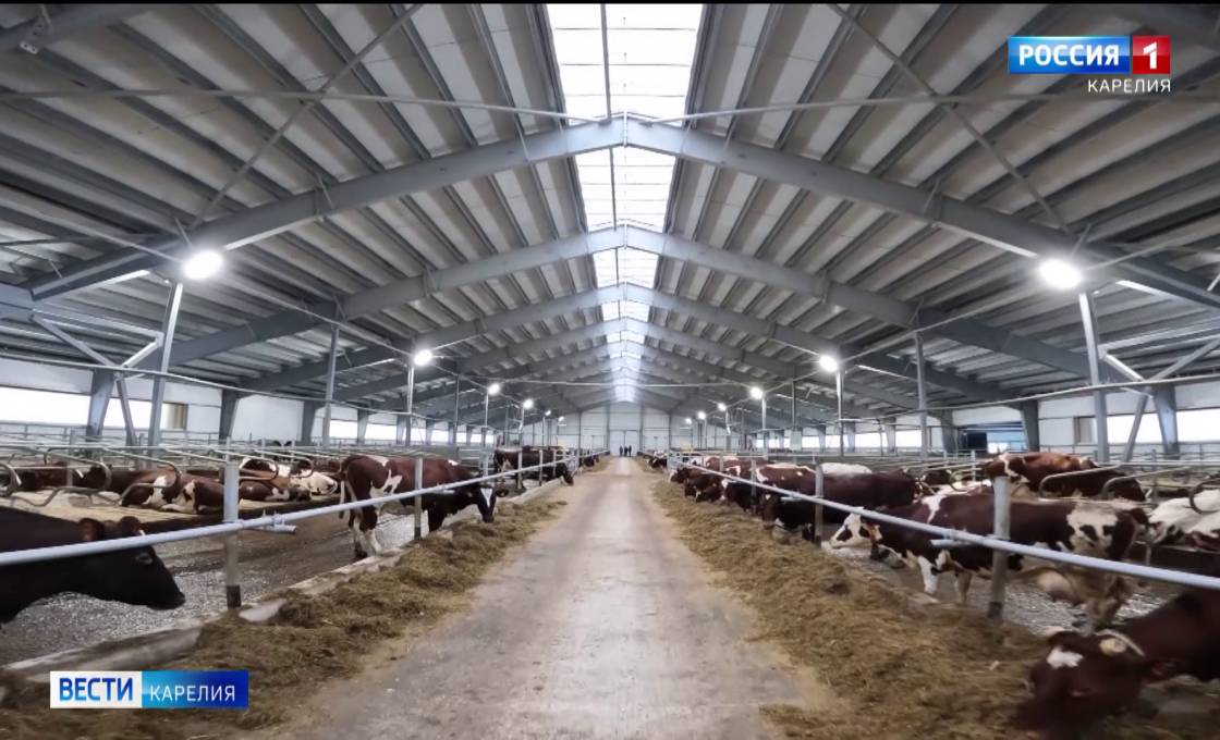 Сегодня в Карелии работал Полномочный представитель Президента России в Северо-Западном федеральном округе Игорь Руденя