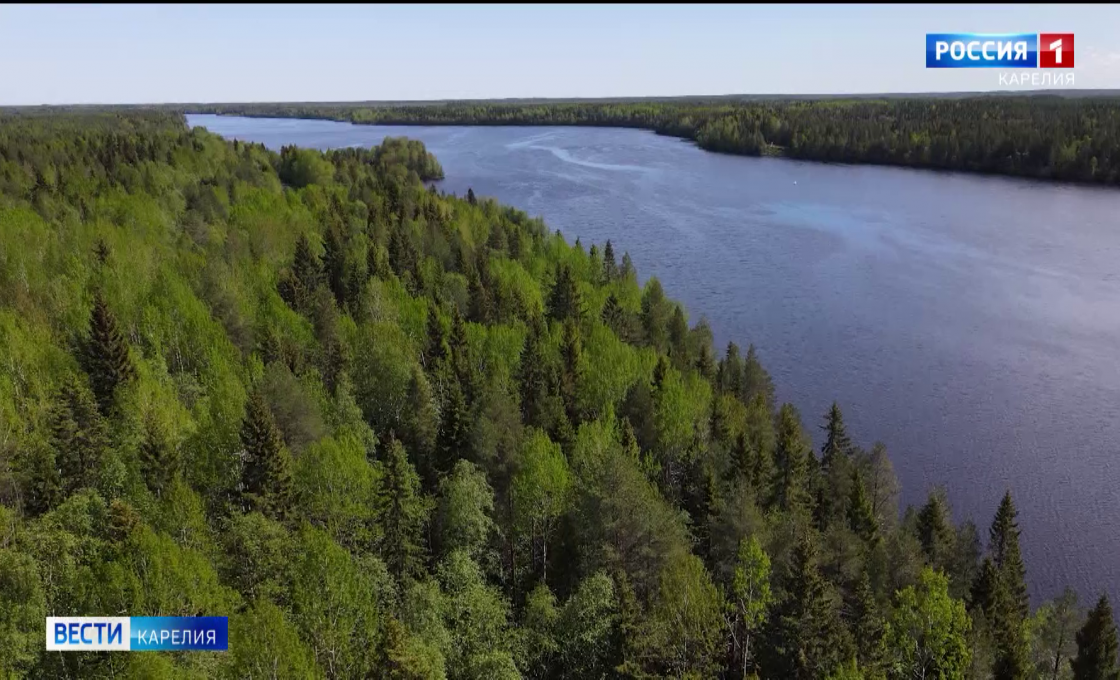 «Вести — Карелия». 23.01.26