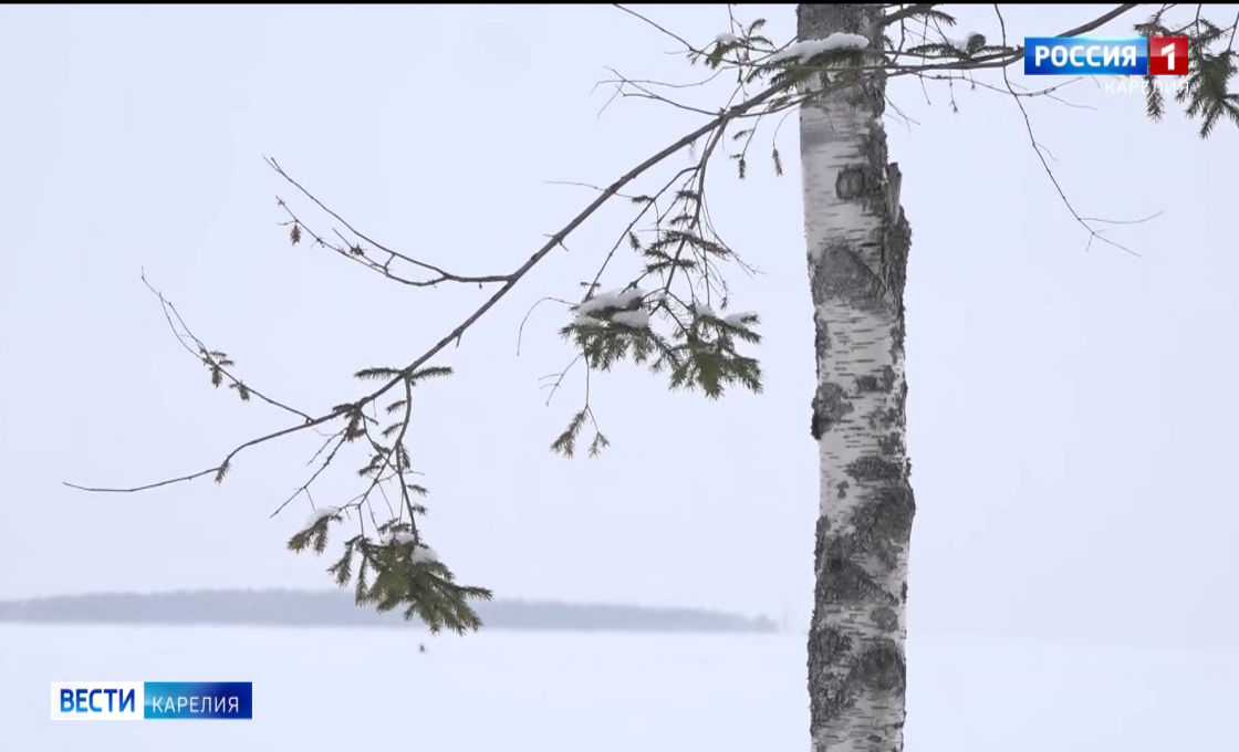 Туроператоры со всего Северо-Запада России провели выходные на базе отдыха «Мы с Онего»