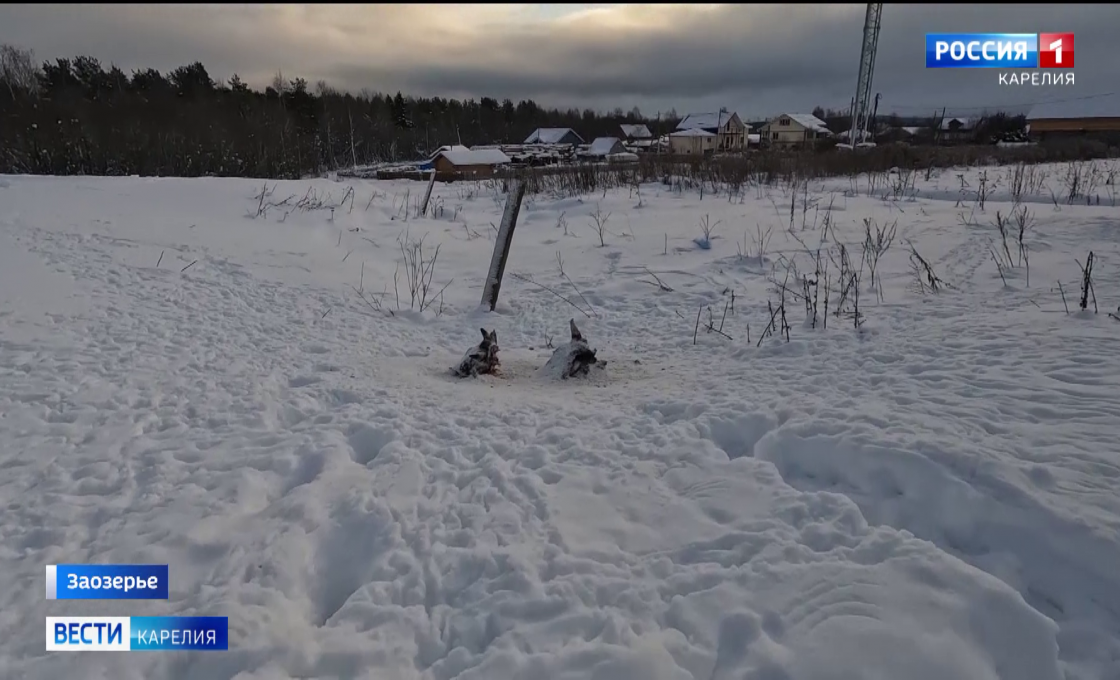 Россельхознадзор наложил арест на ферму в Заозерье, где ранее обнаружили останки домашних животных