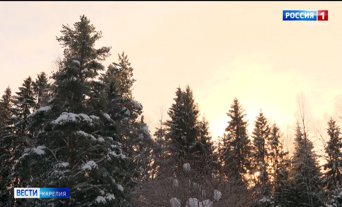 «Вести — Карелия». 28.01.26