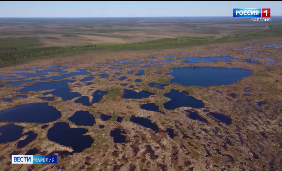 Карельские ученые смогут поработать со специалистами Курчатовского института