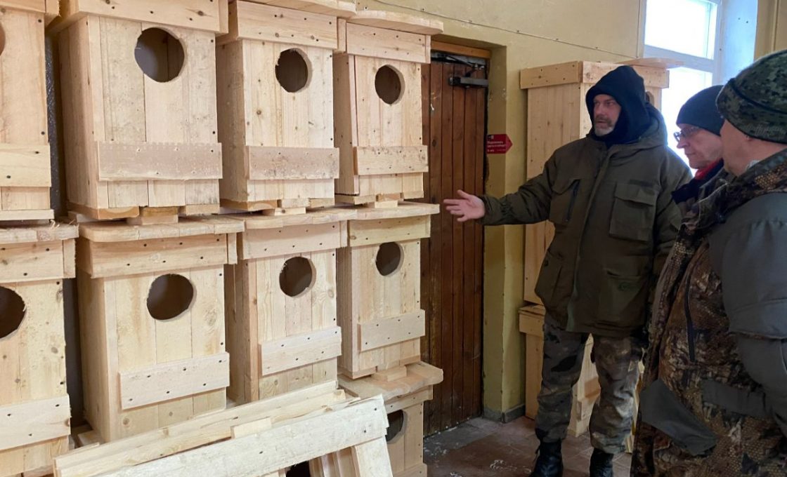 Карельский ученый изготовил 40 искусственных гнездовий для нацпарка «Паанаярви»