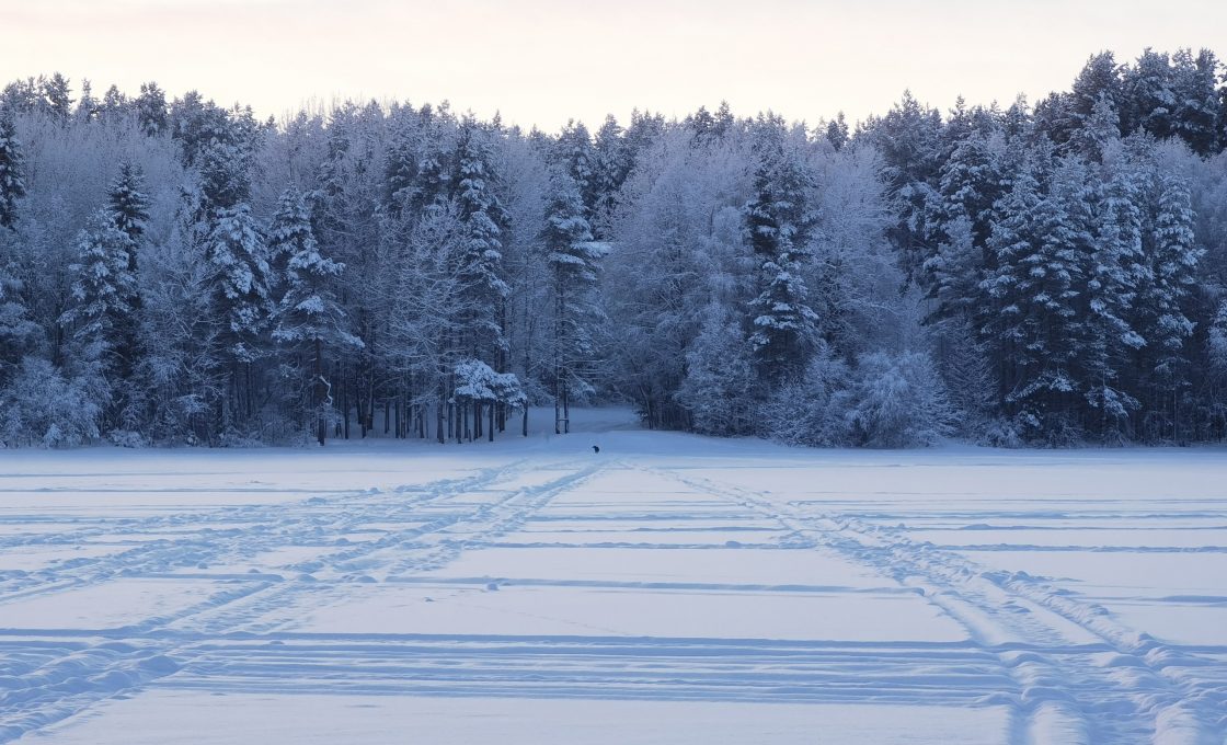 Февраль-«лютень» оправдывает имя: Синоптики рассказали о погоде на месяц