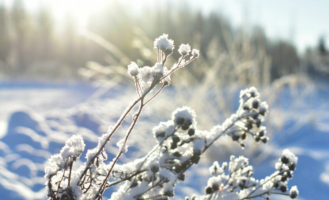 Прогноз погоды по Карелии на 7 февраля