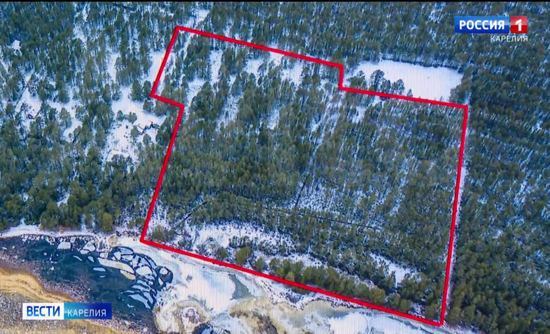 Берег ушел из-под ног. Как кадастровая ошибка лишила собственника гектара земли