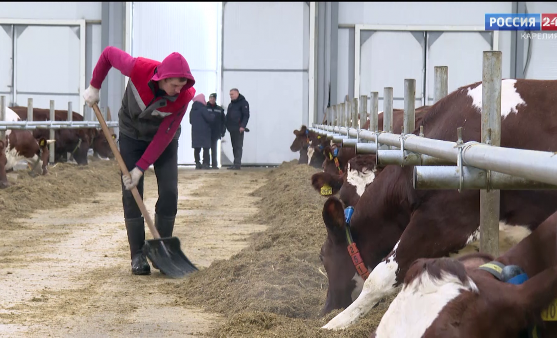 «За городом». 11.02.2026