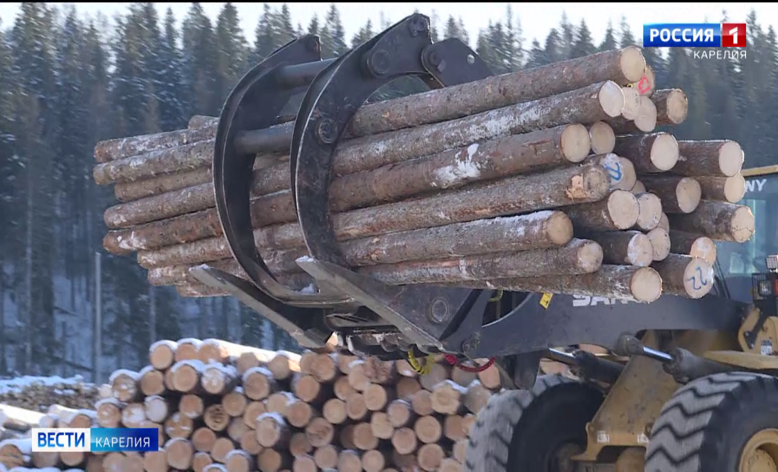 На Сортавальском лесозаводе западные санкции стали стимулом к модернизации