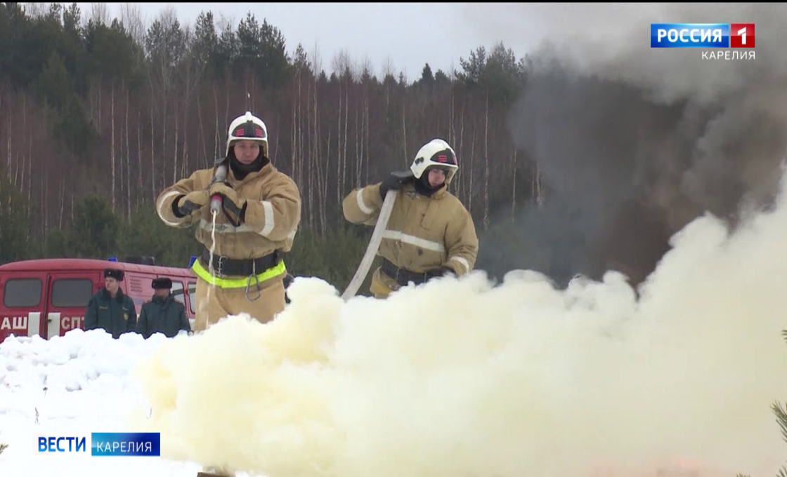 С начала года карельские спасатели ликвидировали около 200 пожаров и спасли более 80 человек
