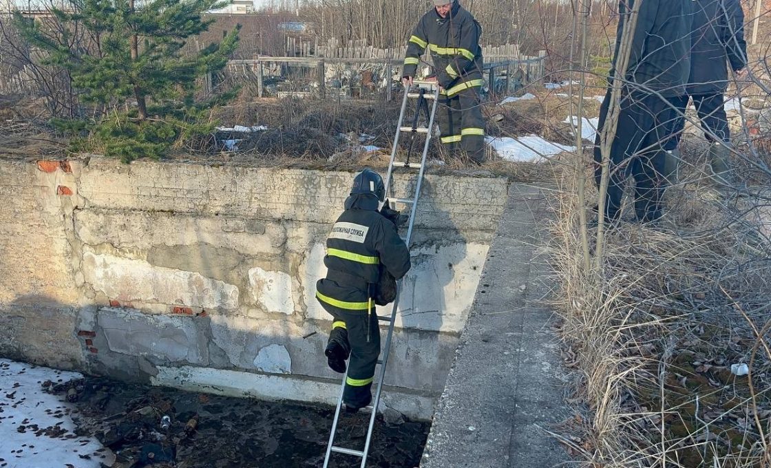 В Кемском округе пожарные спасли собаку из глубокой ямы