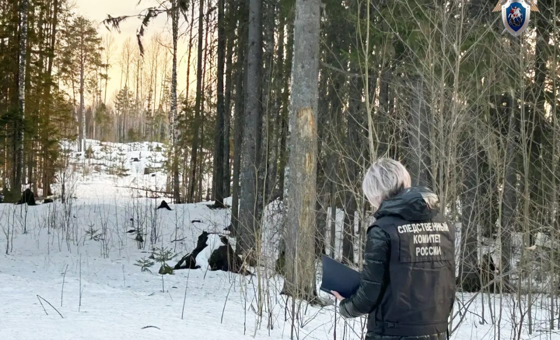 В Пудожском районе рыбак провалился под лед и погиб