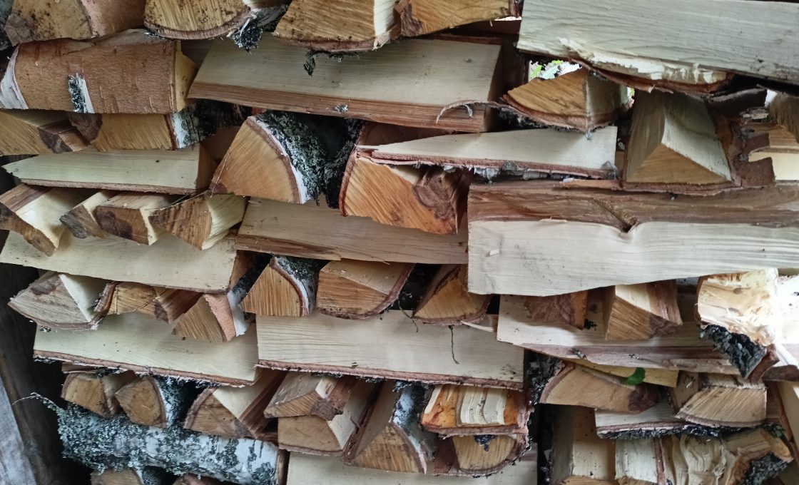 Жителю Карелии грозит до пяти лет лишения свободы за кражу дров