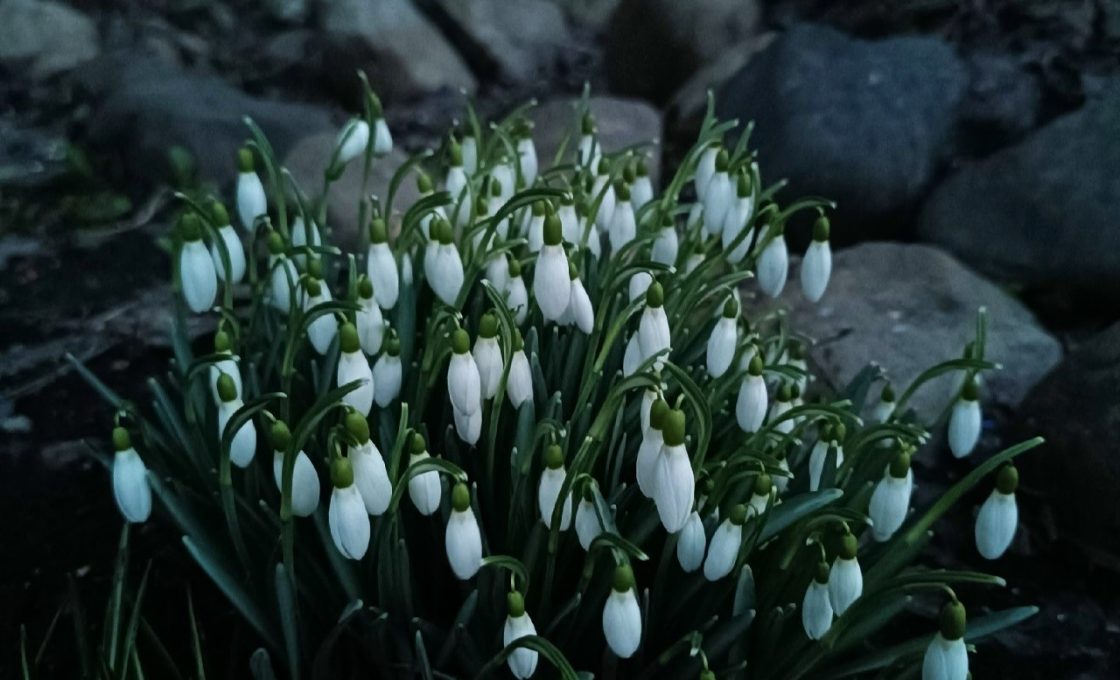 Прогноз погоды по Карелии на 20 марта