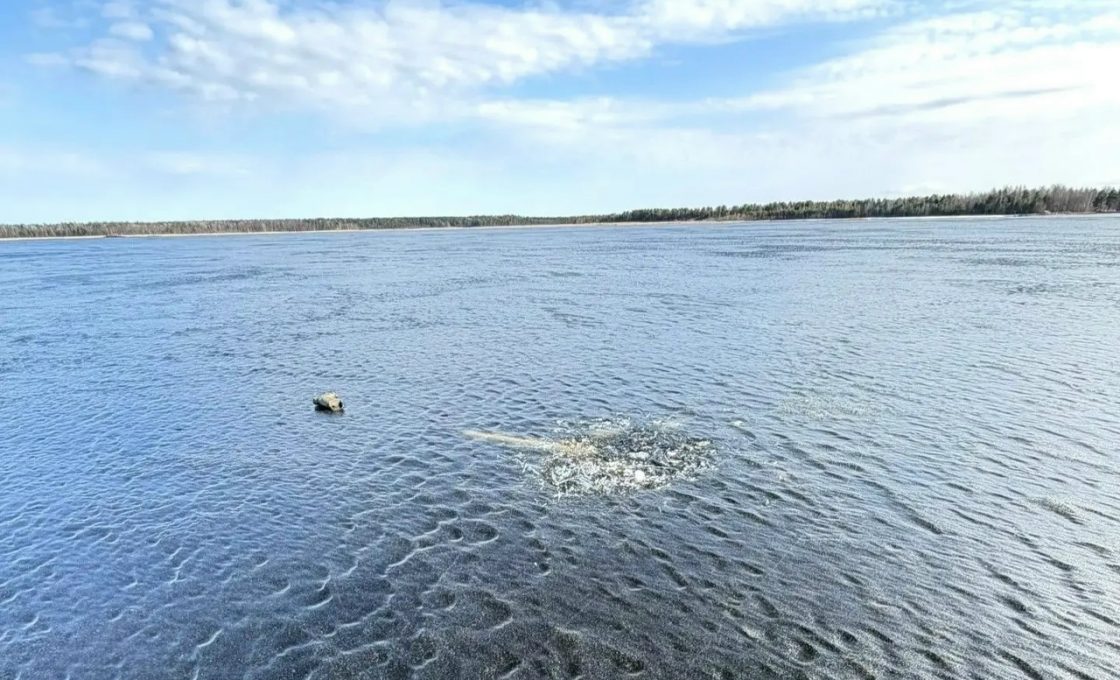 Спасатели подняли тело утонувшего на Онежском озере рыбака