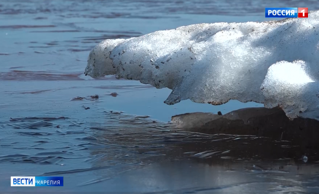 Лучшие сюжеты недели