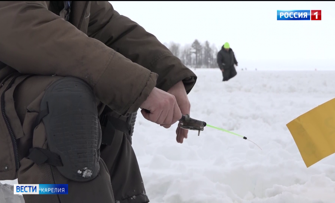 В Водлозерском национальном парке прошёл IX фестиваль подлёдного лова «Пудожские налимы»