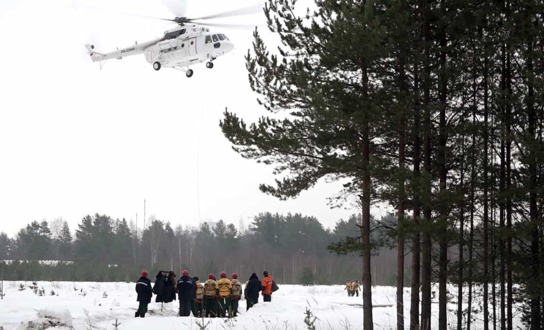 Как Карелия будет защищать леса от пожаров?