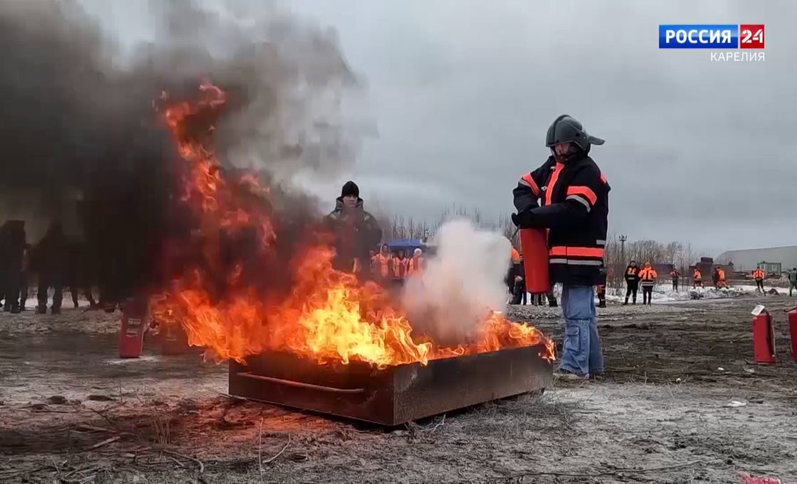«Край карельский — край лесной». 27.03.26