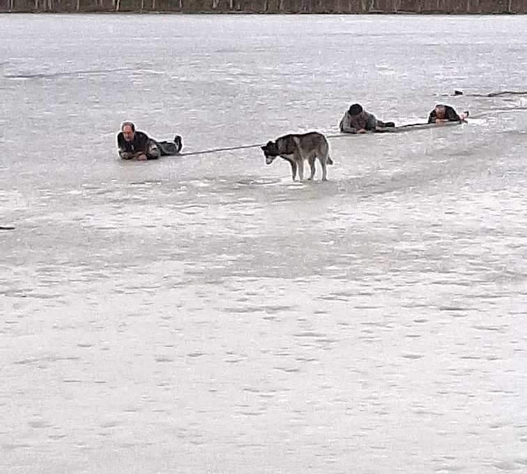 Пожарные спасли мужчину, провалившегося под лёд в Лоухском районе