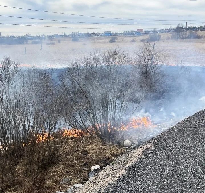 Пожар произошел около исторического парка «Бастiонъ» в Сортавале