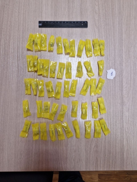 Наркокурьера поймали с поличным в Петрозаводске