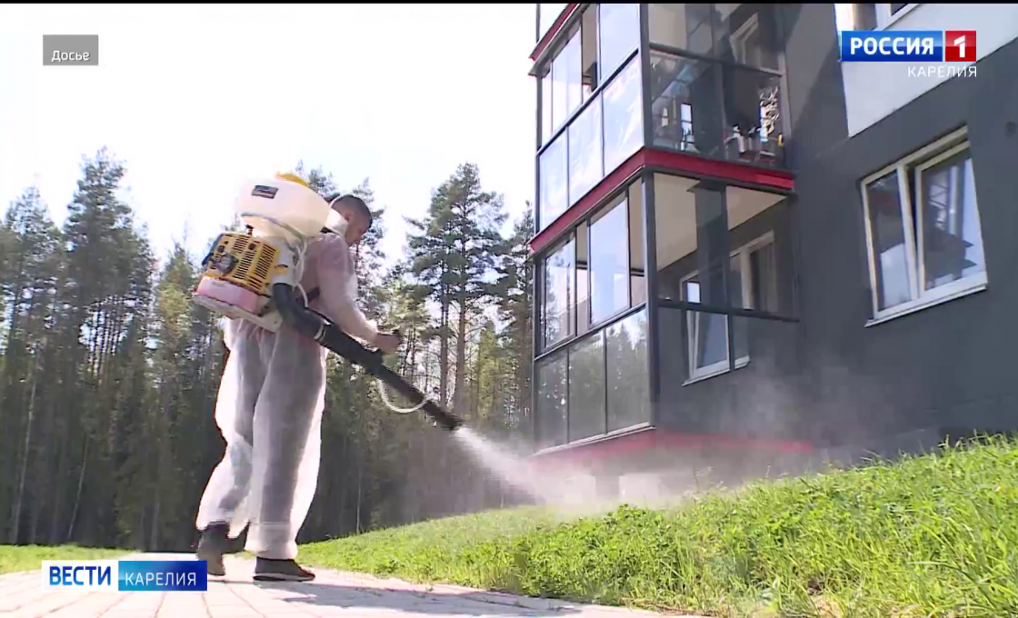 «Вести — Карелия». 01.04.26