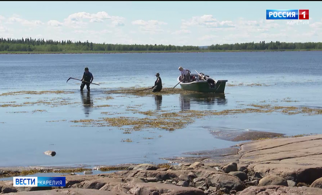 «Вести — Карелия». 03.04.26