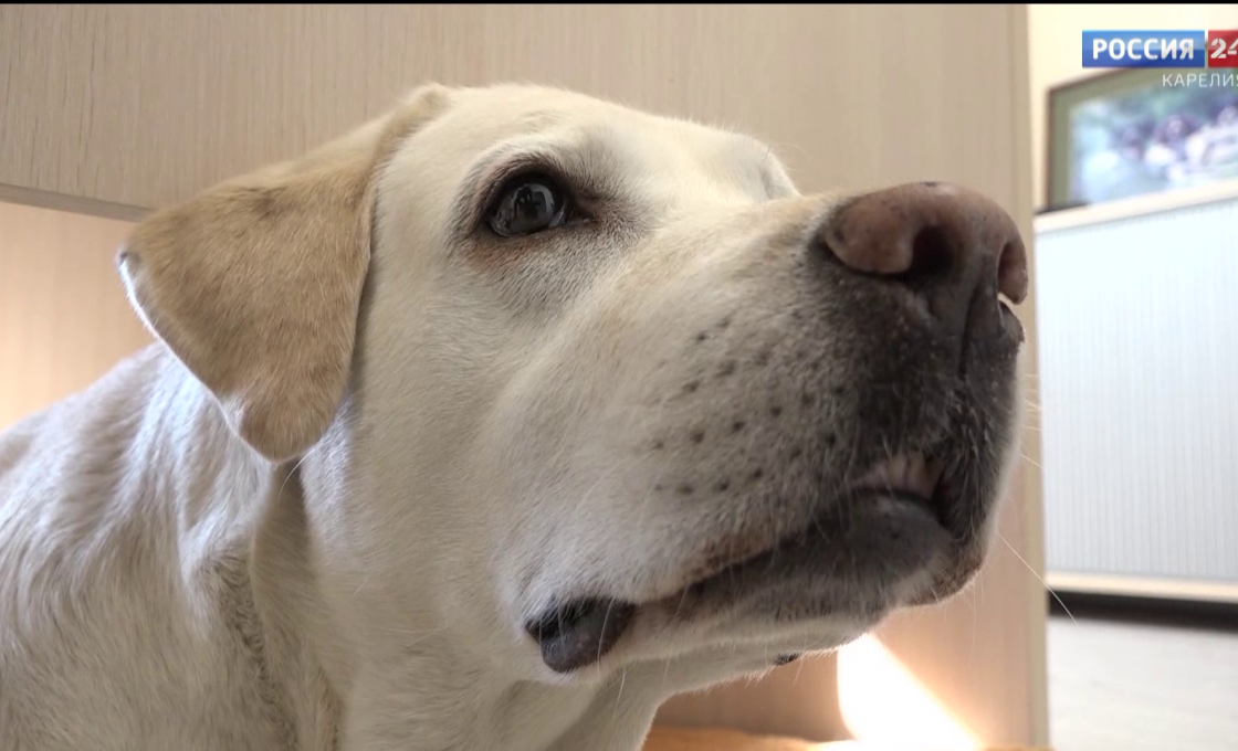 «Россия 24 — Карелия». 03.04.26