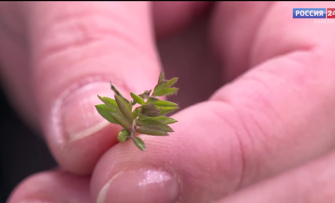«За городом». 08.04.26