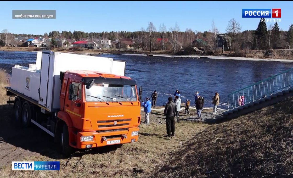 Почти 34 тысячи молоди лосося выпустили в реку Шуя