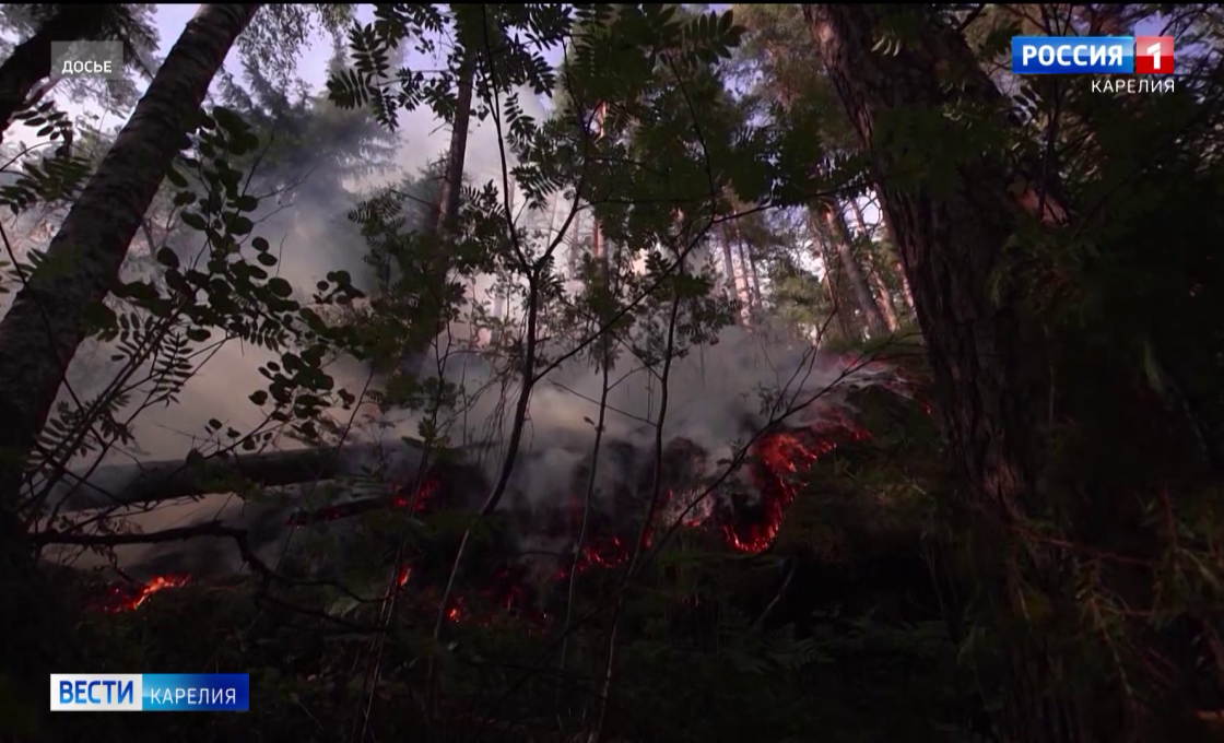 В Карелии начался пожароопасный сезон